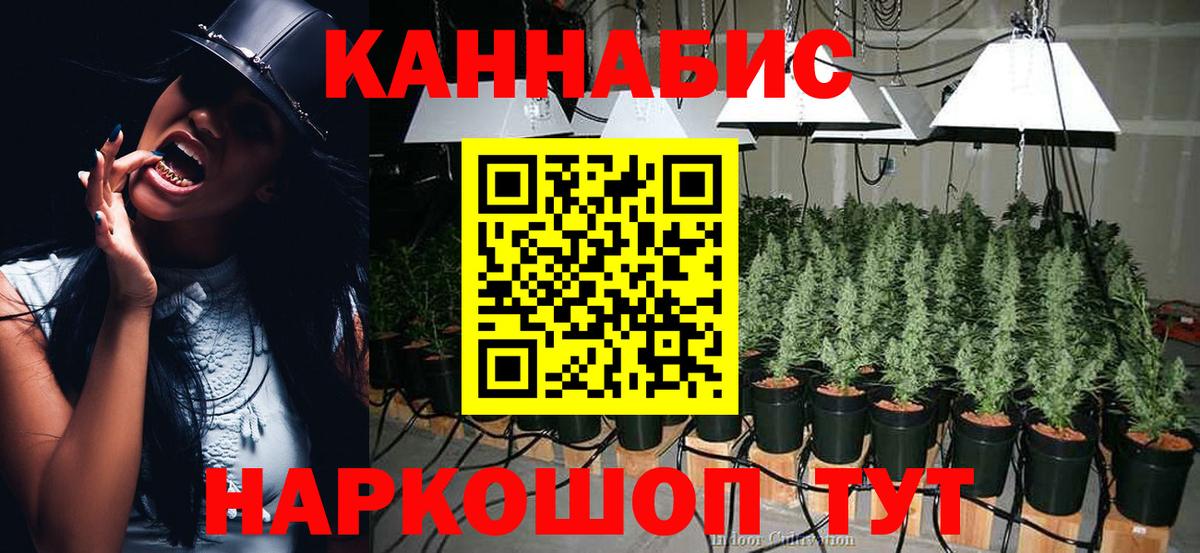 Бошки Шишки MAZAR  МАРИХУАНА гибрид  Конопля ГИДРОПОН  Богданович  Вход с VPN  Шишки марихуана марихуана 